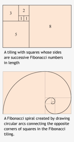 Golden Ratio Overlays - Golden Mean - Free Transparent PNG Download ...