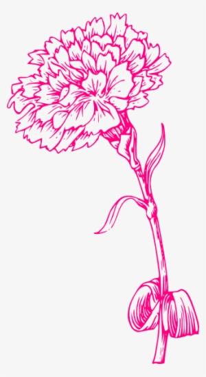 Carnation Clipart Pink Carnation - Marigold Flower Black And White #1215162