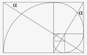 The Golden Logarithmic Spiral - Circle #1215189