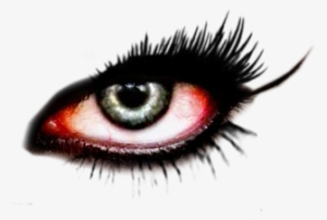 Eyelash Extensions #1216100