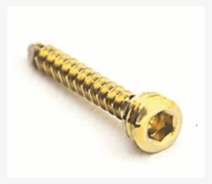 A Locking Screw With Hexagonal Head Slot - Bone Screws #1217287