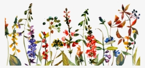 Boarder - Save The Date Blumensommer-blumen Minimalistic Karte #1217954