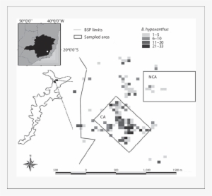 Upper Left Corner - Diagram #1218116