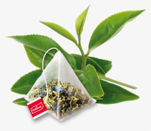 As The Pyramids Have Ample Space Inside Them And Are - Tea Coffee Cup Png #1219513