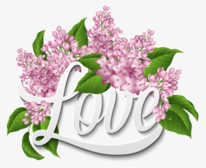 More Information - Vector Graphics #1220000