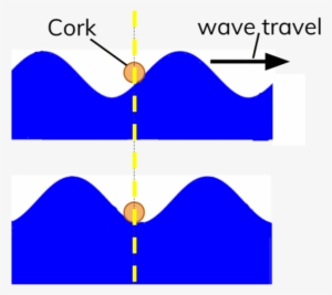 Diagram Showing Transverse Water - Wave #1220852