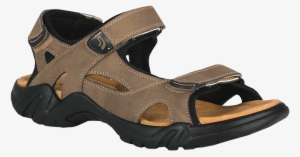 Sandal Png Transparent - Footwear #1221087