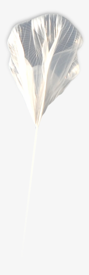 From The Public To The Gurus Of Aerospace, Most People - Light #1221461