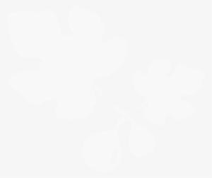 Oxford University Logo White #1221587