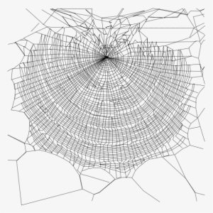 Spiders Web Biomimicry Eye - Spinnennetze Transparent #1221694