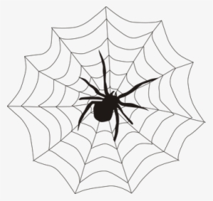 spider webs png transparent spider webs png image free download pngkey spider webs png transparent spider