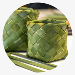 New Look For Kono #1223530