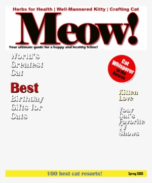 Cat Magazine Cover Template #1224201