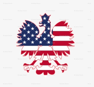 Polish American Flag #1224743