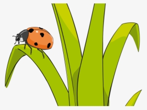 Grass Cartoon - Clipart Ladybug Grass #1224939