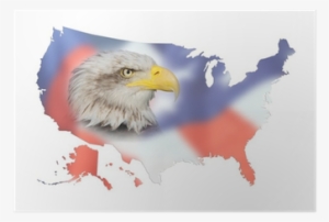 United States Vector Png #1225080