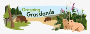 Grassland Biome - Biome Plant Grass #1225475