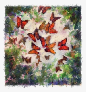 Butterflies #1225622