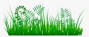 Yükle Grass Png Images - Portable Network Graphics #1225661