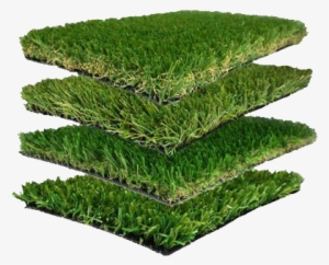 Tipos De Grama - Royal Grass Silk 25 #1226152