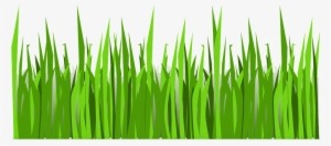 Grass Png Vector #1226171