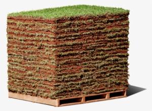 Grama Esmeralda - Gramas Para Campo De Futebol #1226525