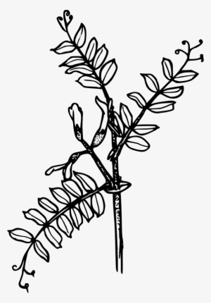 Tiny Sword Clipart Icon Png - Vetch Flower Svg #1226838