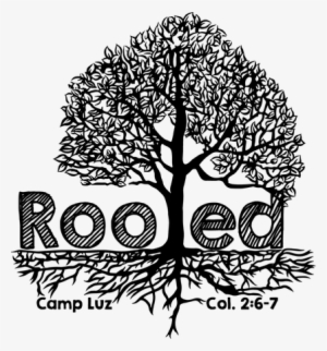 2018 Camp Luz - Illustration #1228028