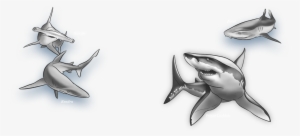Auzyauzy - Great White Shark #1228361