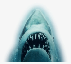 Shark Attack Png Download - Michael Jackson: The Life Of An Icon (dvd) #1228366