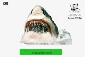 Shark By Jean52 On Deviantart - Shark Png #1228775