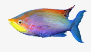 Tropical Fish Png - Salt Water Fish Png #1229300