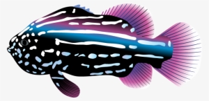 Ocean Life Clip Art - Tropical Fish Clipart #1229365