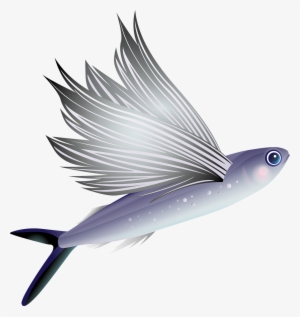 Flying Fish Fish Aquarium - Flying Fish Transparent #1229601