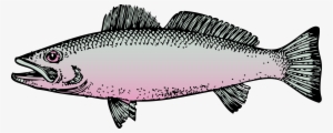 Fish Clipart Side View - Fish Clip Art #1229746