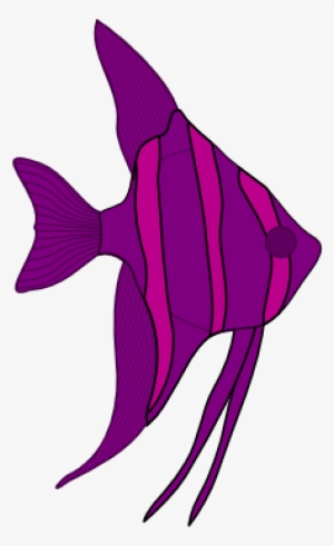 Angel Fish Png Download - Estrella De Mar Silueta #1230164