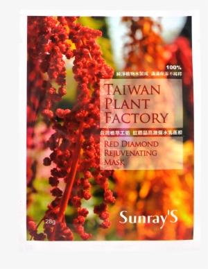 Taiwan Plant Factory Red Diamond Rejuvenating Mask - Onc Quinoaplex R3 Rapid Hair Renewal Formula Repairing #1231095