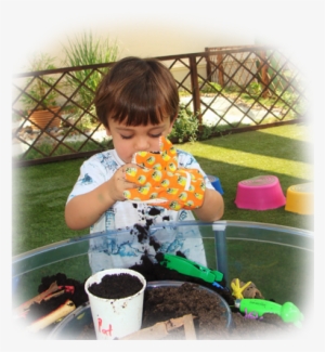 Livingston 24-30 Months - Cake Decorating #1232726