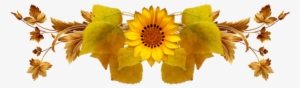 Sunflower #1233411