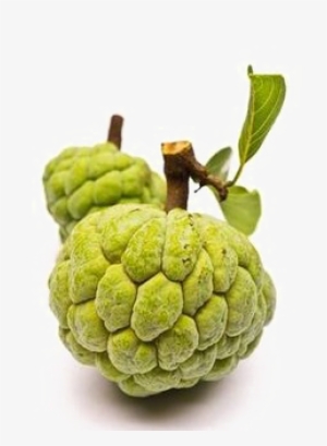 Sugar Apple Png Image With Transparent Background - Sitafal Fruit #1234019