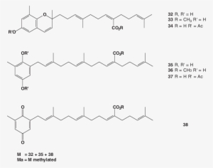 Plastoquinones And Tocotrienols From R - Diagram #1234390