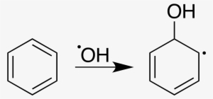 Benzene Hydroxyl Reaction - Structure #1234767