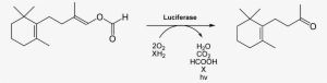 Luciferin Latia Reaction - Latia Luciferin #1234925