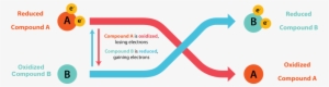 Redox Reactions - Pair Of Redox Reactions #1235157