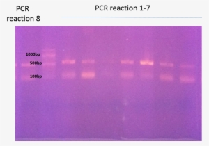 Pcr Reaction - Electric Blue #1235411