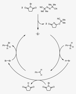 Mechanism Of The Wohl-ziegler Reaction - Wohl–ziegler Bromination #1235483