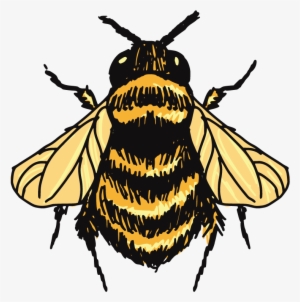 Bumblebee Drawing Sketch - Bumble Bee Drawing #1235590