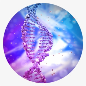 Stem Cell - Regenerative Medicine: Stem Cell Therapy, Stem Cell #1236799 Stem Cell - Regenerative Medicine: Stem Cell Therapy, Stem Cell #1236799