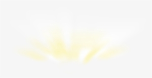 Common Grape Vine #1236868