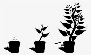 Download Png - Getting To Know Plants #1236992